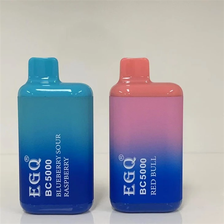 OEM / ODM Disposable Vape Factory New Electronic Cigarette