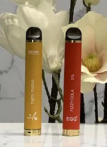 800 Puffs Einweg-Vape mit 550-mAh-Akku